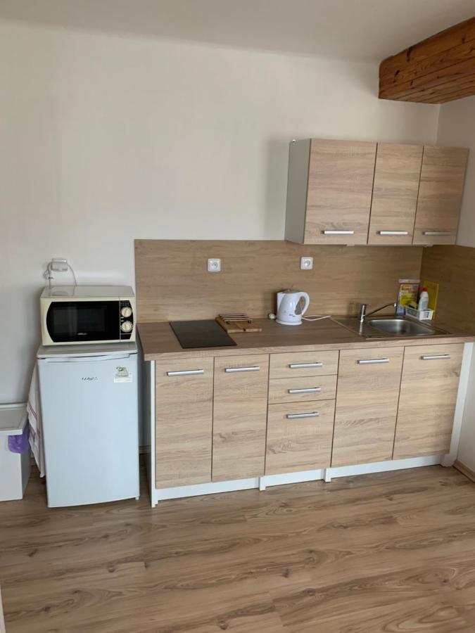 Privat Zelezny Brod Apartment Exterior foto