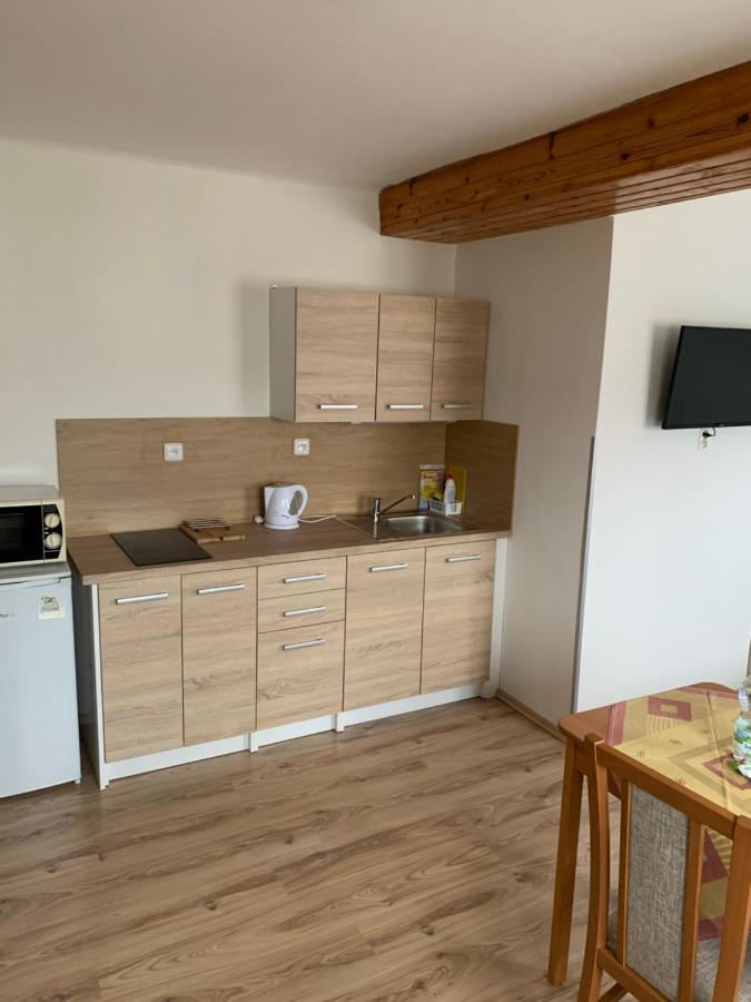 Privat Zelezny Brod Apartment Exterior foto