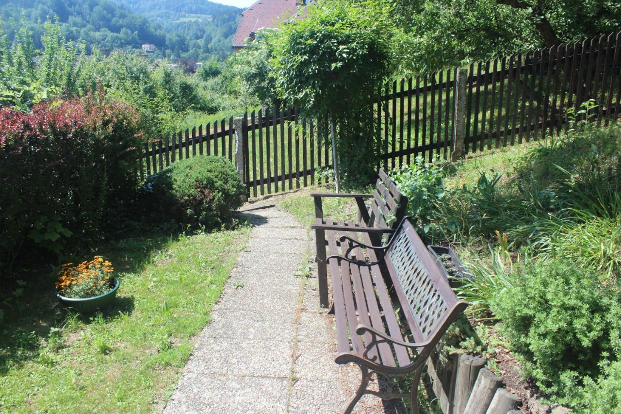 Privat Zelezny Brod Apartment Exterior foto