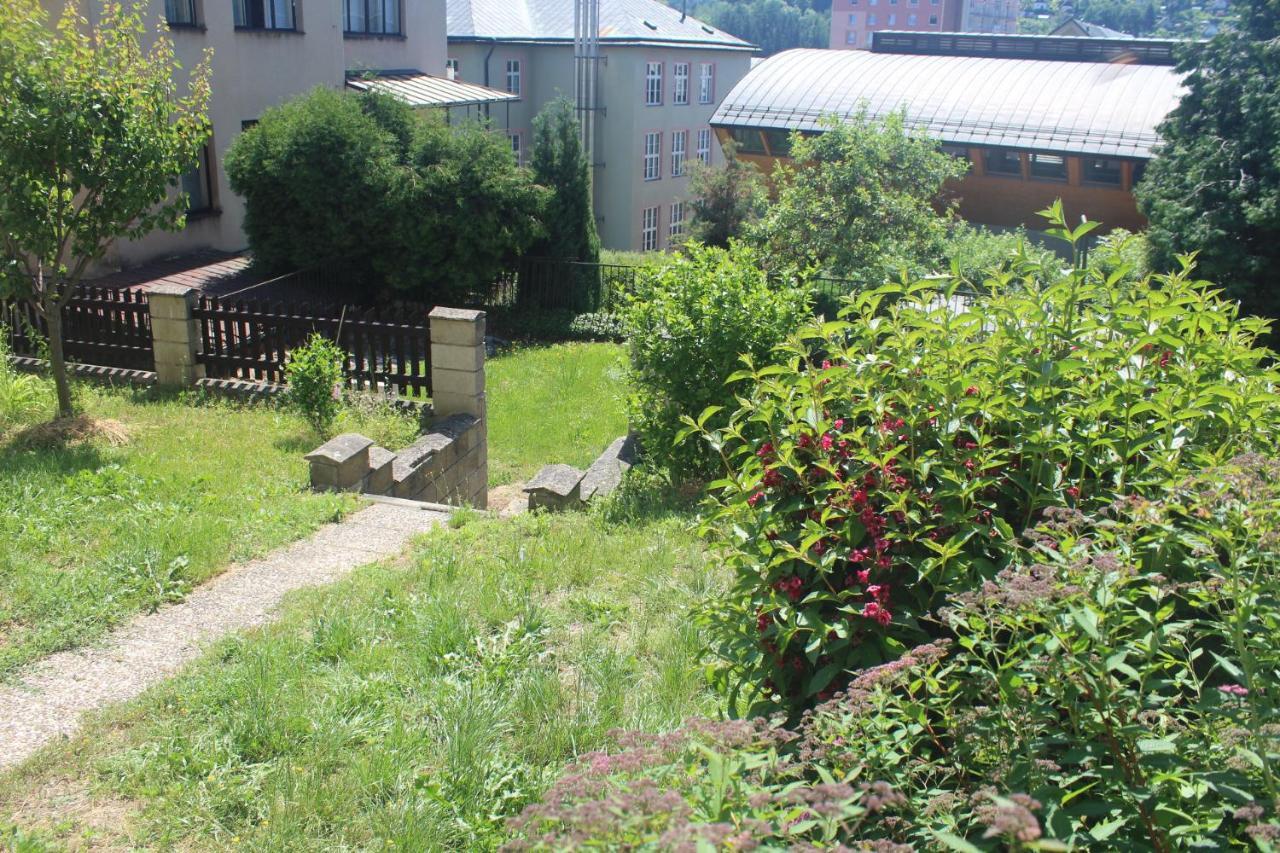 Privat Zelezny Brod Apartment Exterior foto